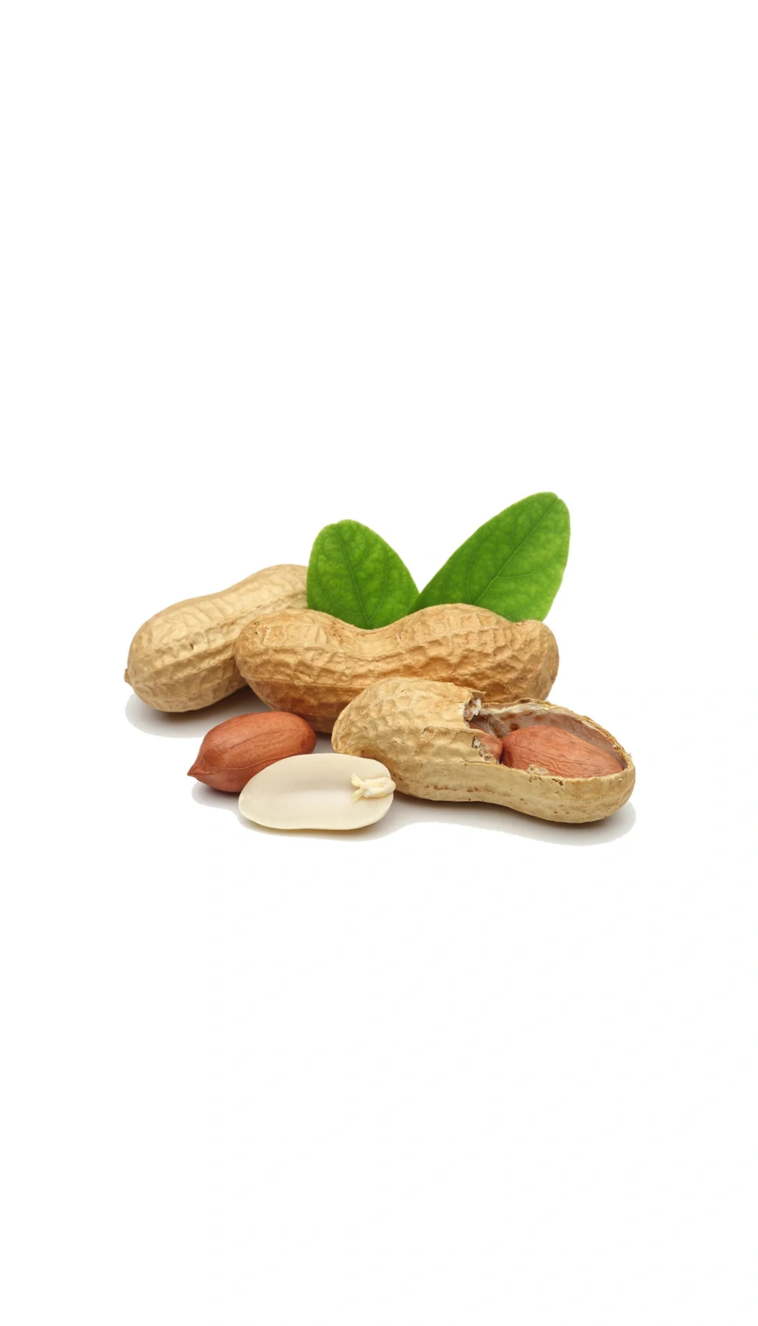 What Is the Optimal Daily Dosage for Resveratrol Supplements?